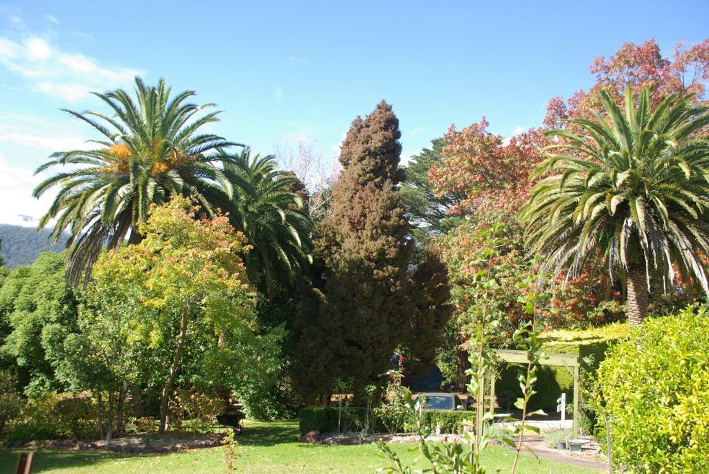 Graceburn Gardens Bed and Breakfast Healesville Exterior foto