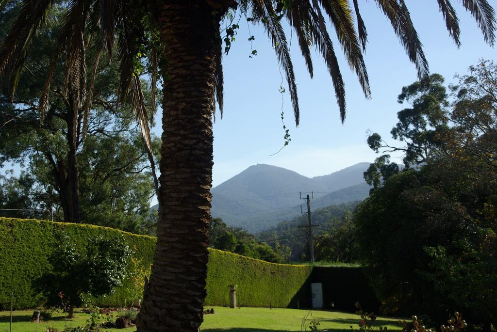 Graceburn Gardens Bed and Breakfast Healesville Exterior foto